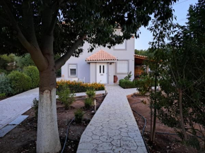 Studio Katafigi